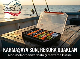 AL-006 / 4 bölmeli lüx organizer kutu